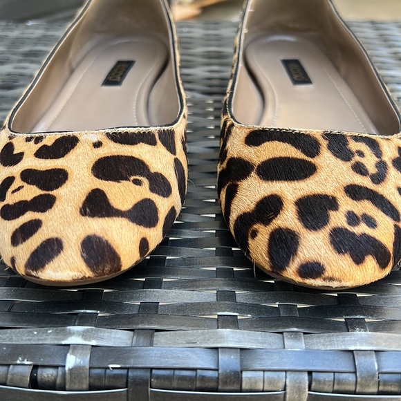 Ecco flats - Picture 2 of 4